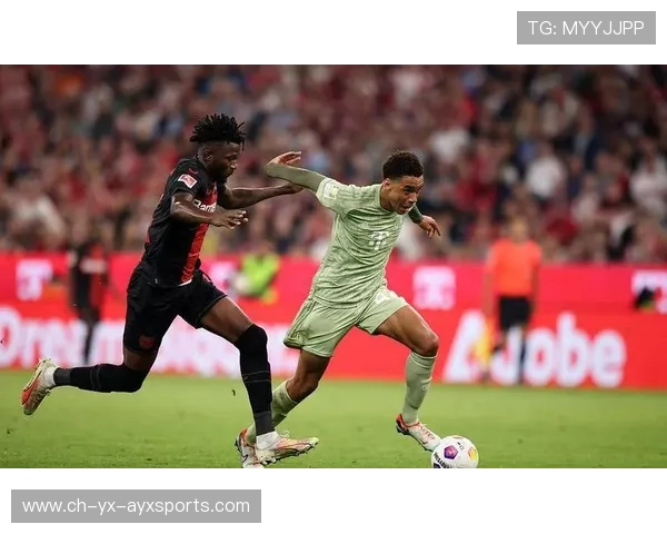 多特蒙德瞄准葡超天赋中卫，鲁尔区豪门进入谈判阶段